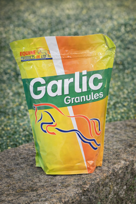 Garlic Granules 🧄 حبوب الثوم الطبيعية للخيول، تدعم المناعة وتحسّن الدورة الدموية، وتساعد على صحة الجهاز التنفسي مع إضافة نكهة محببة للعلف 🌿💪🐴