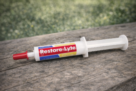 Restore-Lyte Gel – دعم فوري بعد الجهد 🐎⚡ جل سريع المفعول لتعويض الأملاح والطاقة المفقودة، يساعد الخيل على استعادة النشاط وتقليل التعب بعد التمارين القوية، السباقات أو التعرّق الشديد، مثالي في الحر والمجهود العالي.