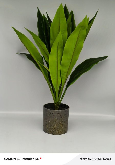 نبتة ديكور صناعية بأوراق خضراء طبيعية 🌿 تضيف لمسة حيوية وانتعاش لأي زاوية بدون الحاجة لعناية. مثالية للمكاتب، الصالونات أو مدخل البيت بستايل عصري وأنيق ✨