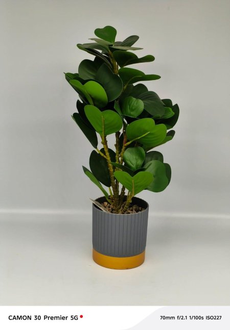 نبتة ديكور صناعية بأوراق قلبية أنيقة 🌿 ستايل عصري مع أصيص مميز يضيف لمسة حيوية لأي مساحة. جمال طبيعي بدون سقي أو عناية ✨