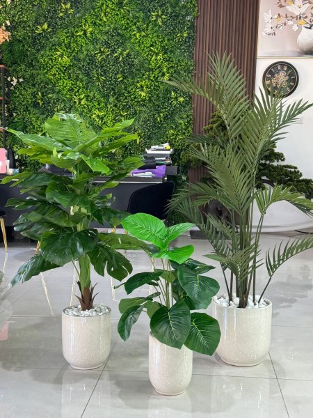 طقم قواوير 3 قطع