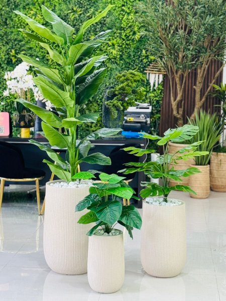 طقم قواوير 3 قطع