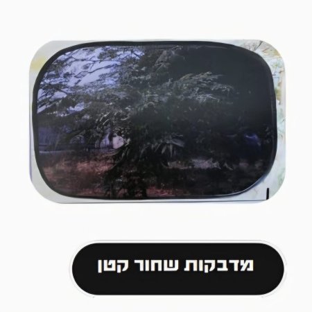 شحور قزاز صغير