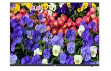 4K LED Monitor \ MW3255-F-V2 \ 55